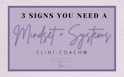 3 Signs You Need a Mindset + Systems Clini-Coach